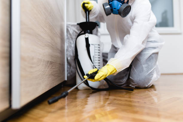 Best Cockroach Control Services  in Newfield, NJ