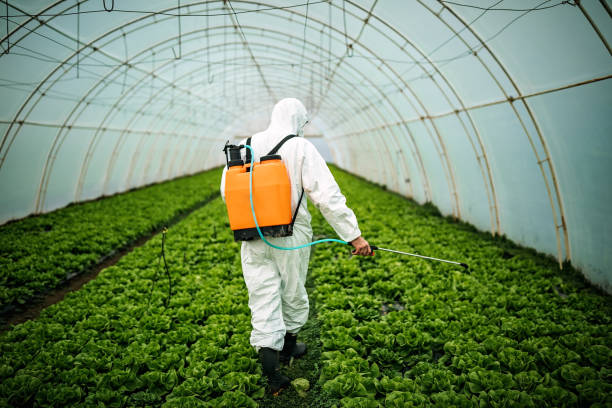 Best Emergency Pest Control  in Newfield, NJ