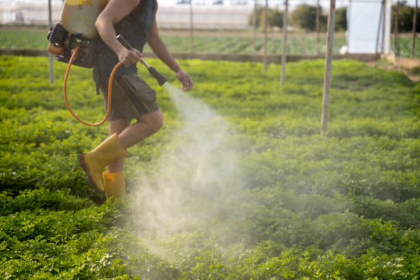 Best Local Pest Control Services  in Newfield, NJ