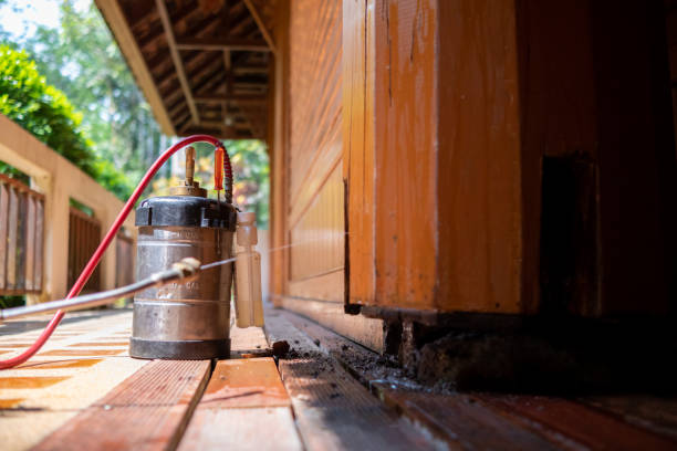 Best Local Pest Control Services  in Newfield, NJ