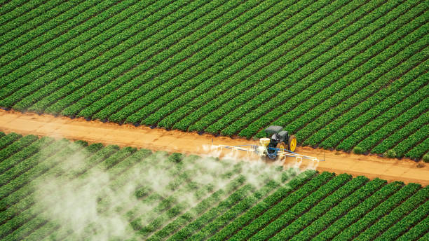 Best Mosquito Control Services  in Newfield, NJ