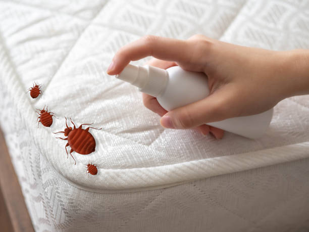 Best Bed Bug Extermination  in Newfield, NJ