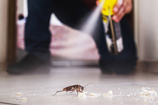 Best Wildlife Control Services  in Newfield, NJ