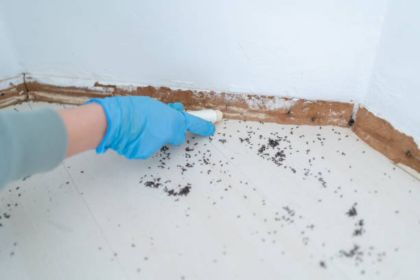 Best Residential Pest Control  in Newfield, NJ