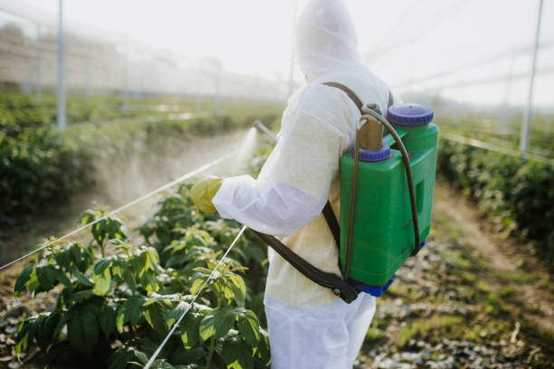Best Insect Control  in Newfield, NJ